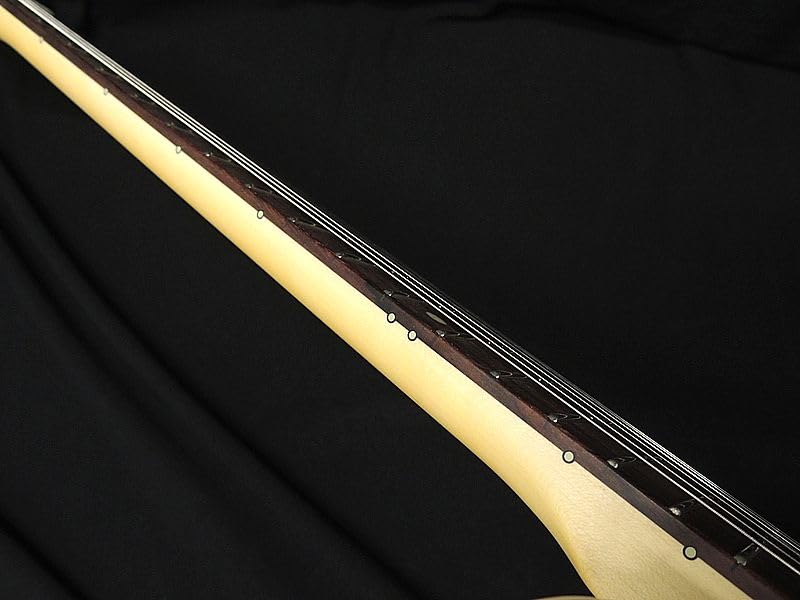 Amazon | FGN FUJIGEN NTE100RAL BLK Neo Classic SERIES フジゲン